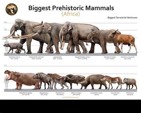 Giant Prehistoric Creatures