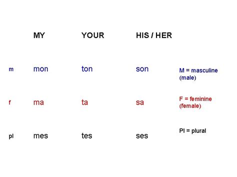 French Lesson 1 Possessive Pronouns French Has 3