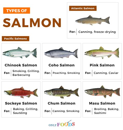 Types Of Salmon Ph