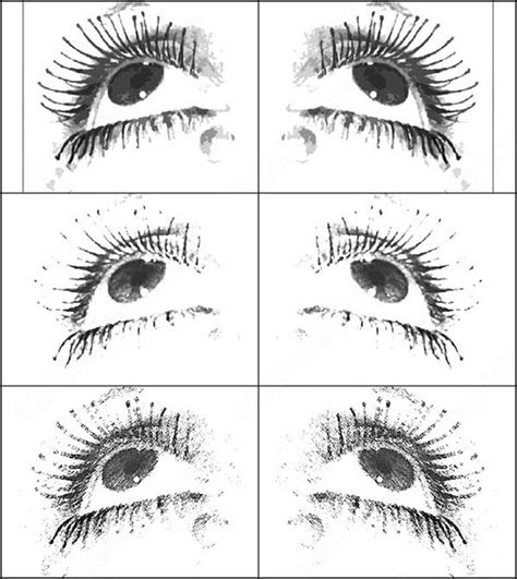 Anime Eyes Ps Brushes Free Download 39 Abr Files
