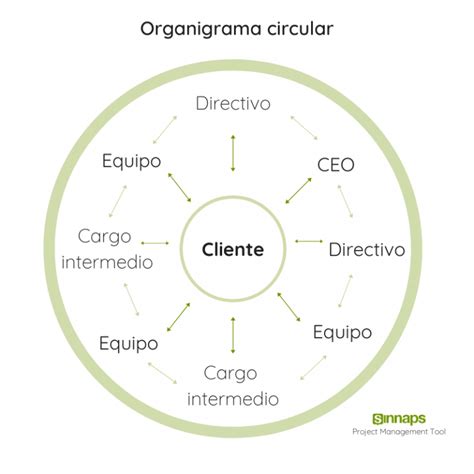 Organigrama Circular ¿cómo Funciona Con Un Ejemplo Real Sinnaps