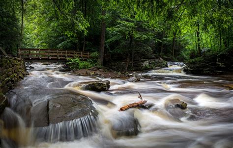 Wallpaper Forest Trees Bridge Park Stream Stones For Usa