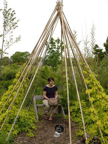 Bamboo Teepee Diy