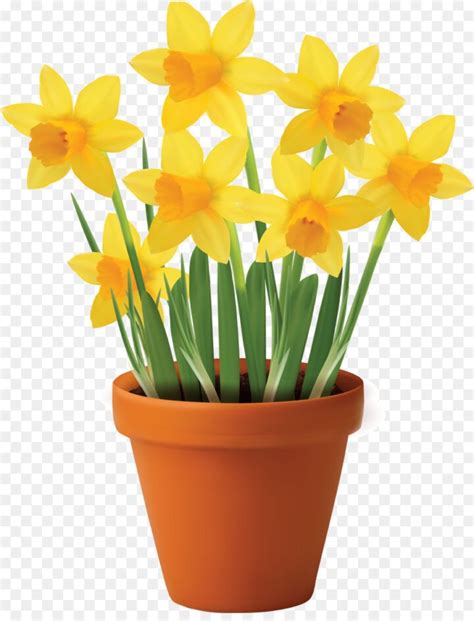 Download high quality royalty free flowers illustrations from our collection of 41,940,205 royalty free illustrations. Flowerpot Vase Royalty Free Clip Art Daffodils Image ...