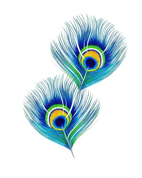 Unique Krishna Flute And Peacock Feather Images Feather Painting