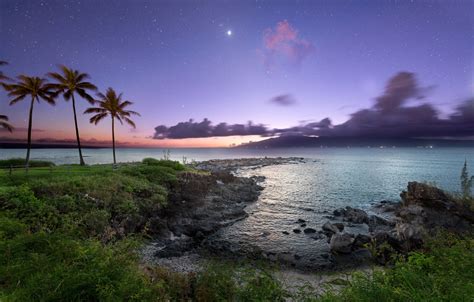 Wallpaper Night Palm Trees The Ocean Coast Stars Hawaii Maui