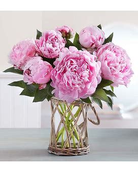 We're family owned and operated, and committed. Peony Perfection in Cary NC - Preston Flowers