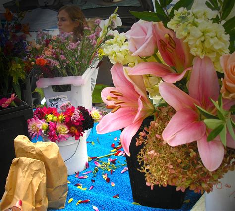 Flowers, plants, home and garden greenhouse and plant nursery near you located in wyoming, comstock park and kentwood. Flowers at Fulton Street Farmers Market, Grand Rapids, MI ...