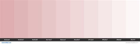 The hexadecimal rgb code of light pink color is #ffb6c1. Tints of Pale Chestnut color #DDADAF hex in 2020 | Color ...