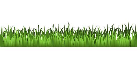 Grass Meadow Green · Free vector graphic on Pixabay