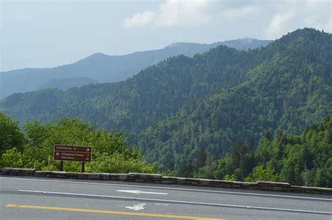 Vast Forest In Great Smoky Mountains National Park Thanks To