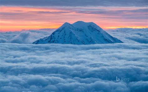 Mount Rainier National Park Washington Bing Hintergrund
