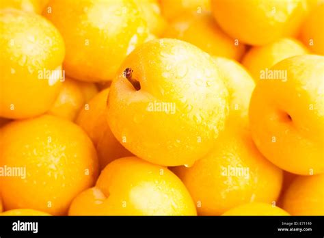 Yellow Plum Closeup Stock Photo Alamy