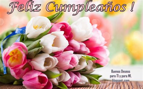 Buenos Deseos Para Ti Y Para MÍ Feliz CumpleaÑos Ramo De Tulipanes
