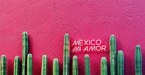 La Historia Del Rosa Mexicano El Color Más Representativo De México