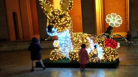 Natale A Frosinone Mila Euro Per Le Luminarie Tutte Le