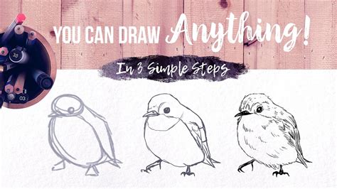 You Can Draw Anything In 3 Simple Steps Skillshare Class Trailer
