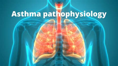 Understanding Asthma Pathophysiology A Comprehensive Guide