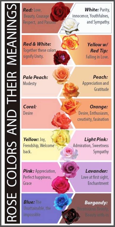Rose Colors And Their Meanings Flower Power Ilham Verici I Ek
