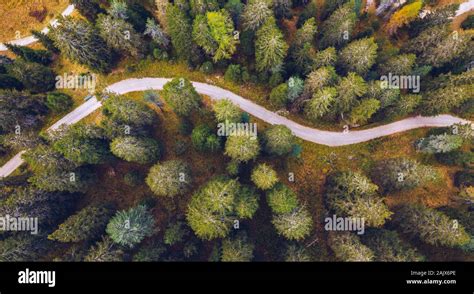 Scenic Aerial View Of A Winding Trekking Path In A Forest Trekking