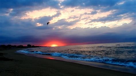 Relax Amanecer En La Playa Sonido Del Mar Hd 1080p Música Relajante