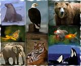 Pictures of Zoology Distance Learning