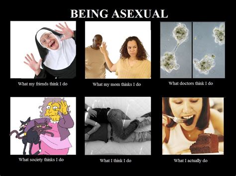 Understanding Asexuality In A Sexual Society Her Campus