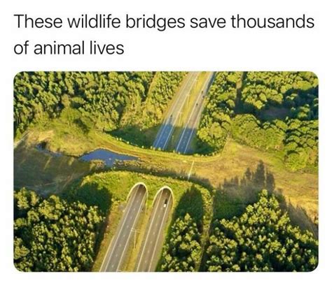 Interesting Facts Part 173 Others
