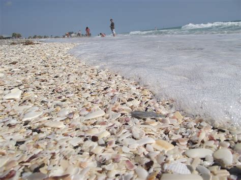 Maybe you would like to learn more about one of these? The Essential Beachcomber: For a list of all the ways ...