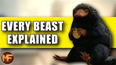 Every Beast Weve Seen So Far In Fantastic Beasts 12 45 Creatures