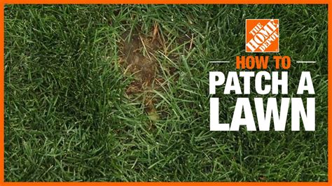 How To Patch A Lawn The Home Depot Youtube