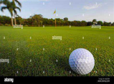 Golf Ball Rolling On Putting Green Stock Photo Alamy