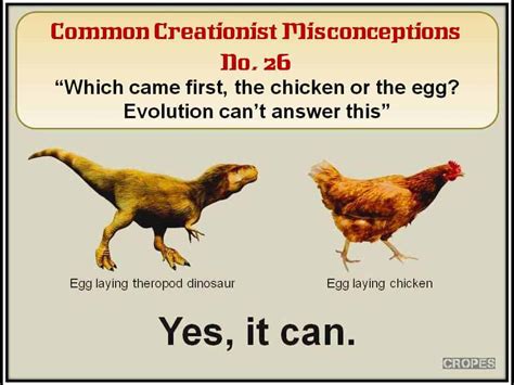 Common Creationist Misconceptions Dinosaurs Birds And Fossils