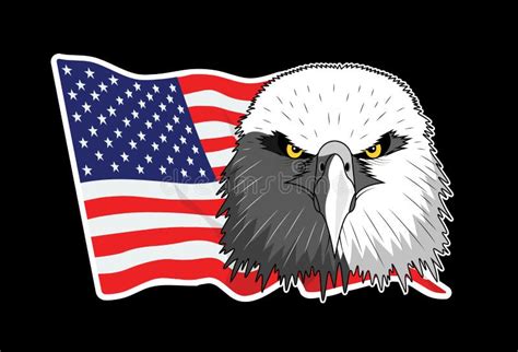 Bald Eagle Symbol Of North America Stock Vector Illustration Of