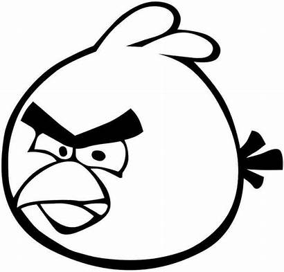 Angry Coloring Bird Pages Cartoon Birds Preschool