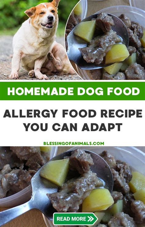 Just like you would when switching to any other dog food. Homemade Dog Food for Allergies Recipe - in 2020 | Dog ...