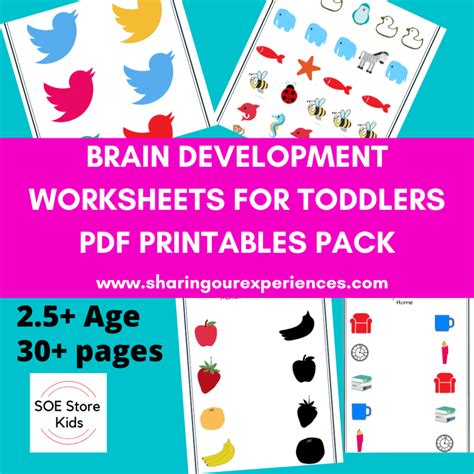 Multiple Brain Development Worksheets Activities For Toddler Pdf