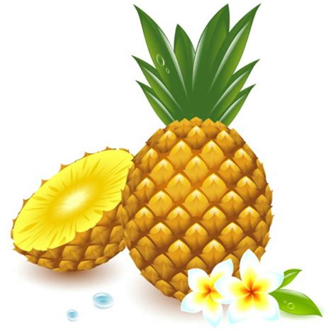 Download High Quality Pineapple Clipart Tropical Transparent Png Images