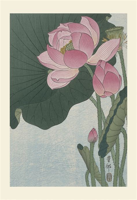 Lotus Flowers Japanese Vintage Art Free Stock Photo Public Domain