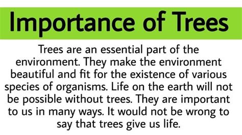 Importance On Trees Essay On Importance Of Trees The Importance Of