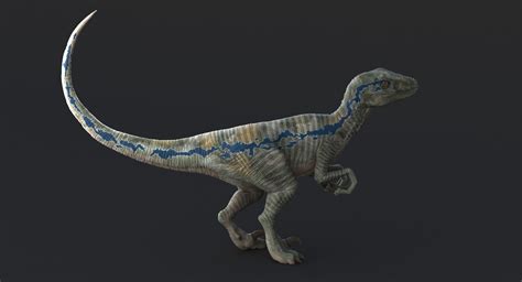 Realistic Velociraptor Rigged Raptor 3d Max