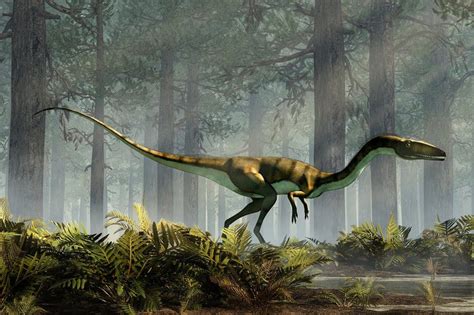 18 Most Dangerous Dinosaurs That Ever Walked The Earth Next Luxury