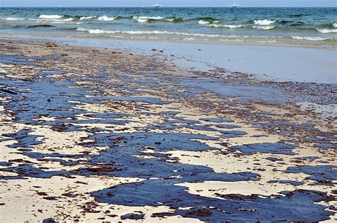 How Do Oil Spills Affect The Environment