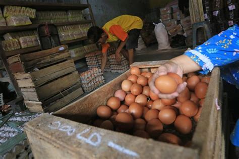 Harga Telur Ayam Melonjak Penjual Kurangi Dagangan Republika Online