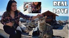 Paw Dorable Moments Cute And Heartwarming Photos From Cat Rescue Champaign Il