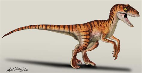 The Lost World Jurassic Park Velociraptor Male By Nikorex On Deviantart Velociraptor Jurassic
