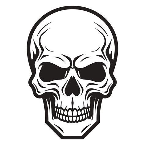 Beautiful Skull Silhouette Generative Ai 25073377 Png