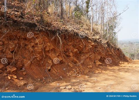 Deforestation In Asia Roads Carved Out Of Native Jungle Trees Stock