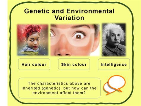 Genetic And Environmental Variation Ks3 Low Ability Teaching Resources