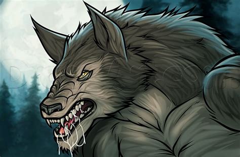 How To Draw A Werewolf Easy Werewolf Drawing Cartoon Dragon Werewolf
